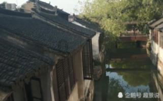 动物帮帮忙保卫家园